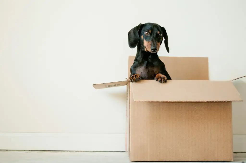 Box S personnalisée avec abonnement